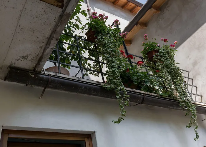 Veronetta HouseAlbergo